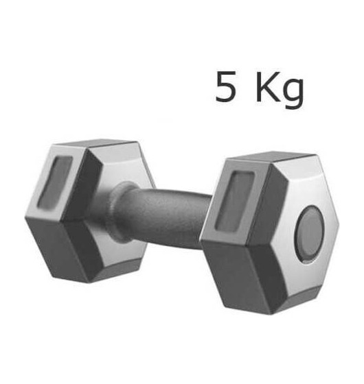 Gewichte Fitnessstudio Hantel Hantelgewicht 2,5 5 7,5 10 kg Langhantelübungen...
